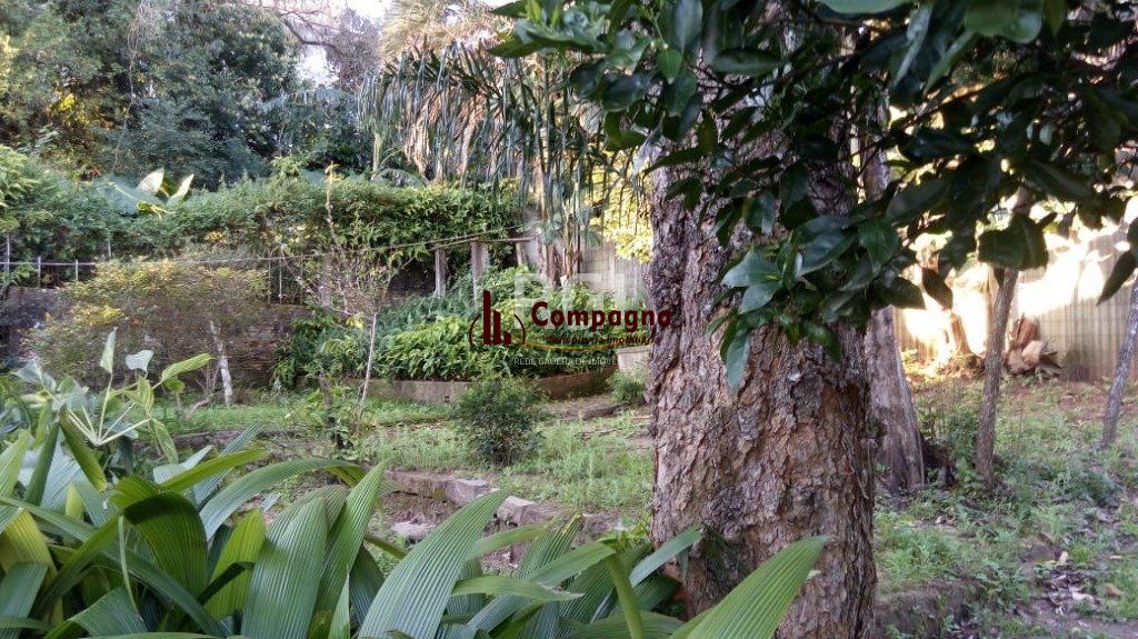 Terreno para Venda - 0m², 0 dormitórios, Medianeira — foto 5