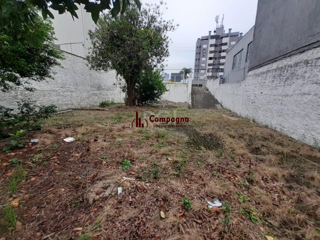 Terreno para Venda - 0m², 0 dormitórios, Alto Petrópolis