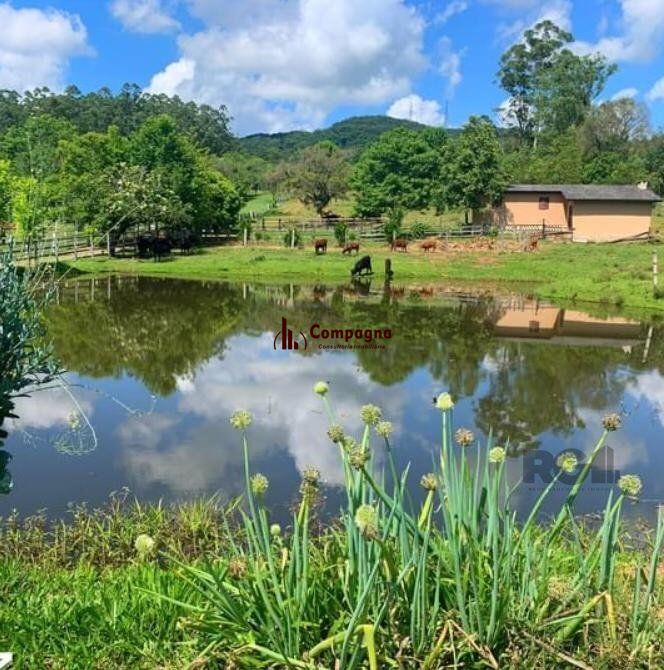 Sítio 4 quartos à venda, 22000m², Centro - Taquari — foto 4