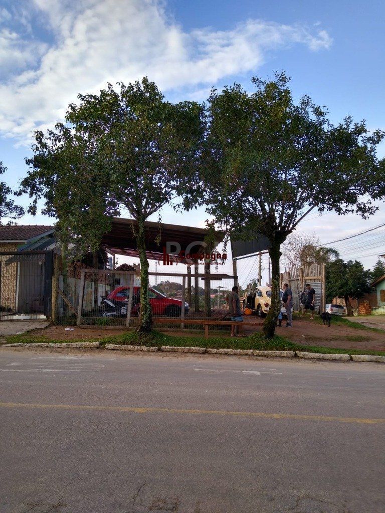 Terreno para Venda - 480m², 0 dormitórios, Cecília — foto 4