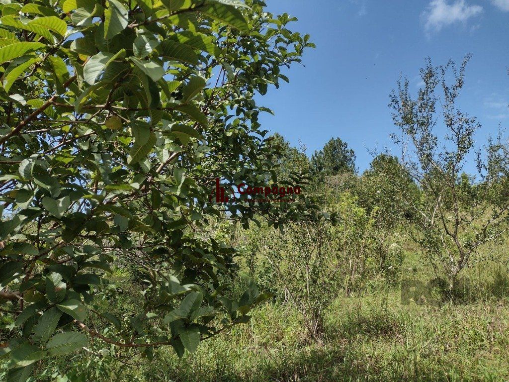 Sítio 1 quartos à venda, 210m², Albatroz - Osório — foto 4