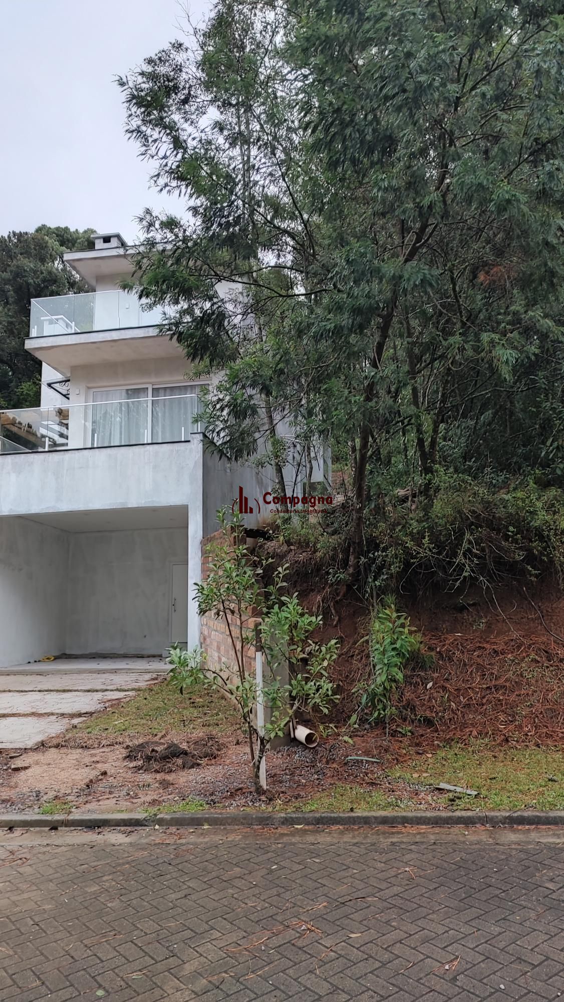 LOTE Nº 08