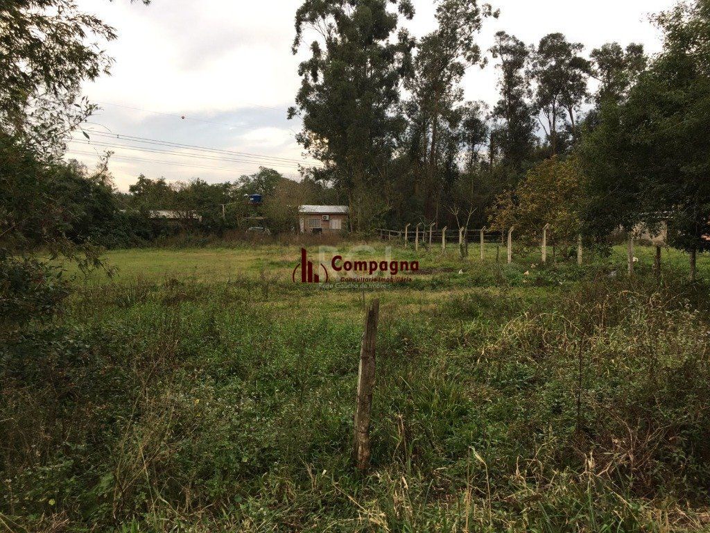 Terreno à venda, Neópolis - Gravataí — foto 5