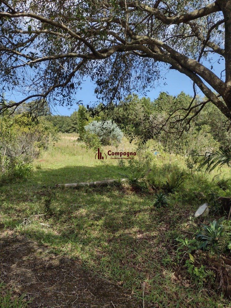 Sítio 1 quartos à venda, 210m², Albatroz - Osório — foto 3