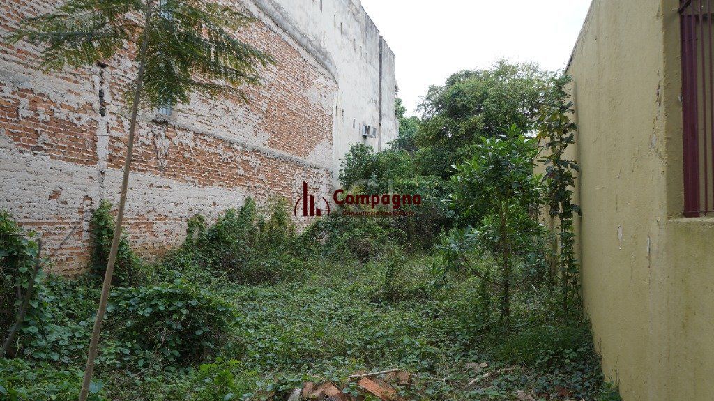 Terreno para Venda - 218m² no Bairro Floresta — foto 3