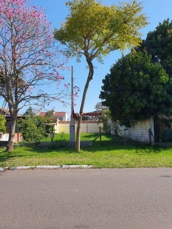 Terreno à venda, Harmonia - Canoas — foto 5