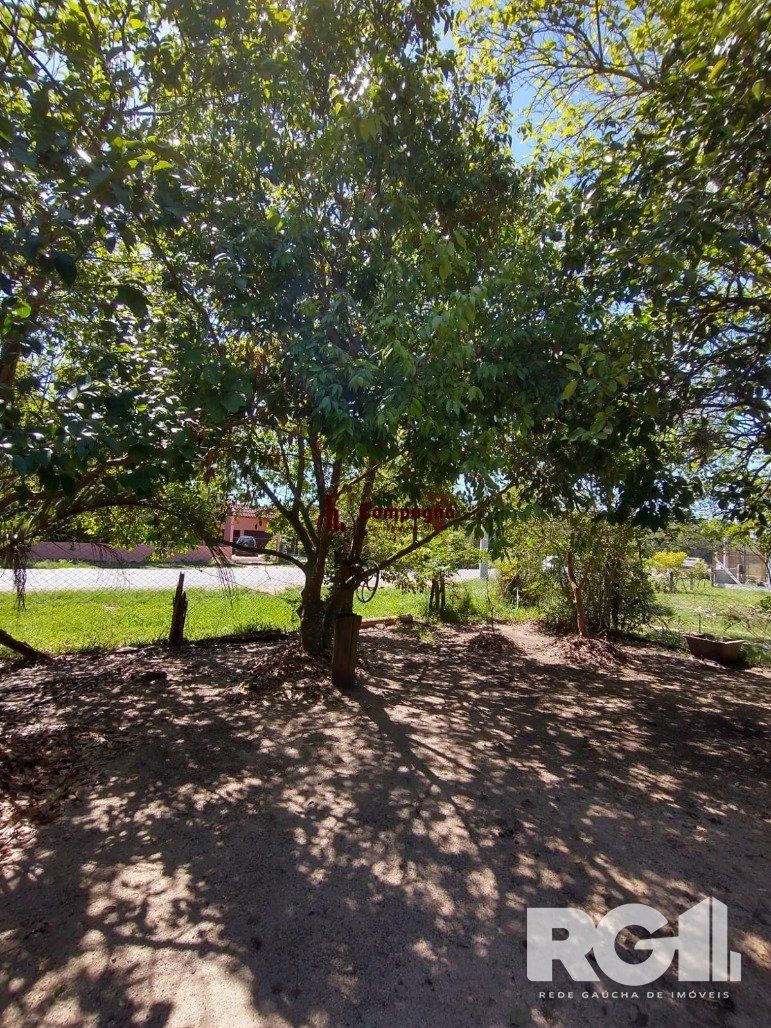 Excelente Sítio na Capital de 6.737,57 m2, Bairro Lami, Porto Alegre RS — foto 4