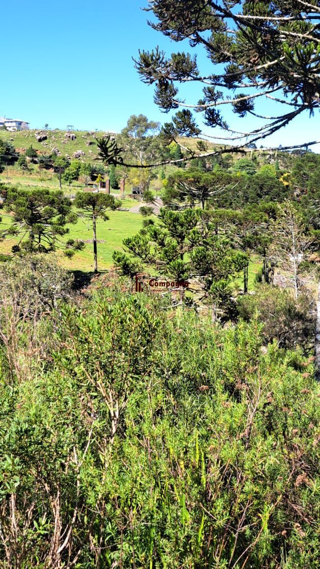 Fazenda 3 quartos à venda, 34000m², Centro - Bom Jardim da Serra — foto 1