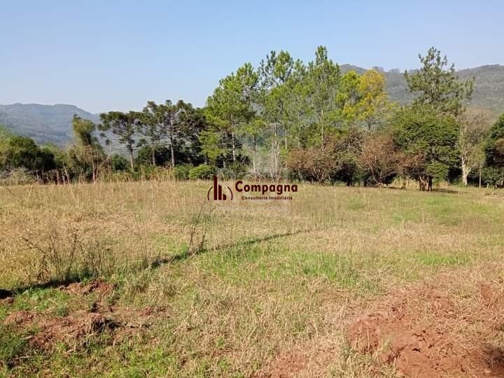 Sítio para Venda - 105380m², 0 dormitórios, Zona Rural — foto 3