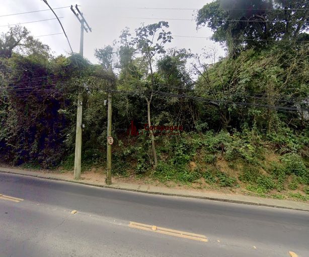 Terreno a venda no bairro Tristeza — foto 3