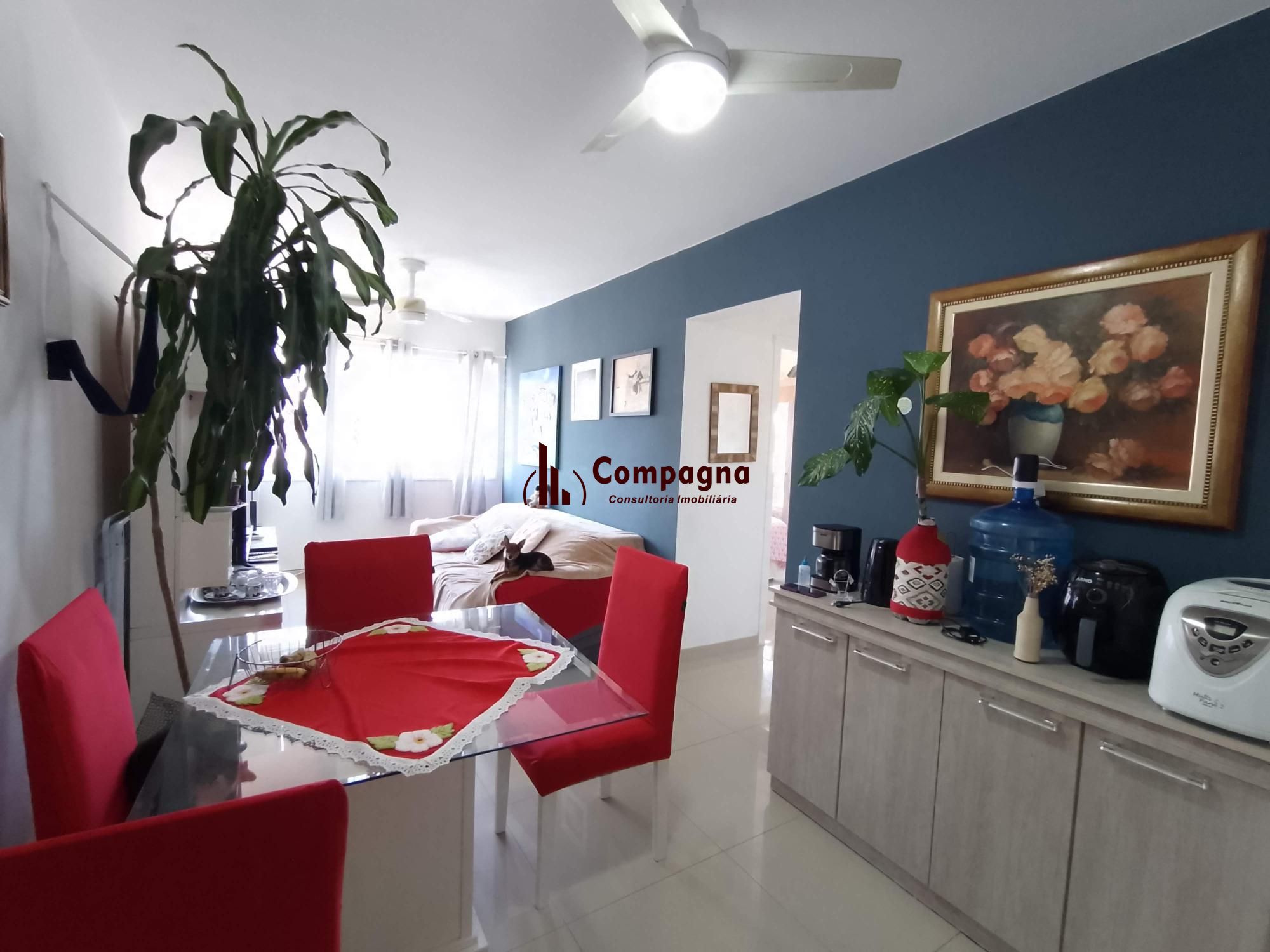 Apartamento 2 dormitórios com vaga coberta e elevador perto da PUC — foto 2