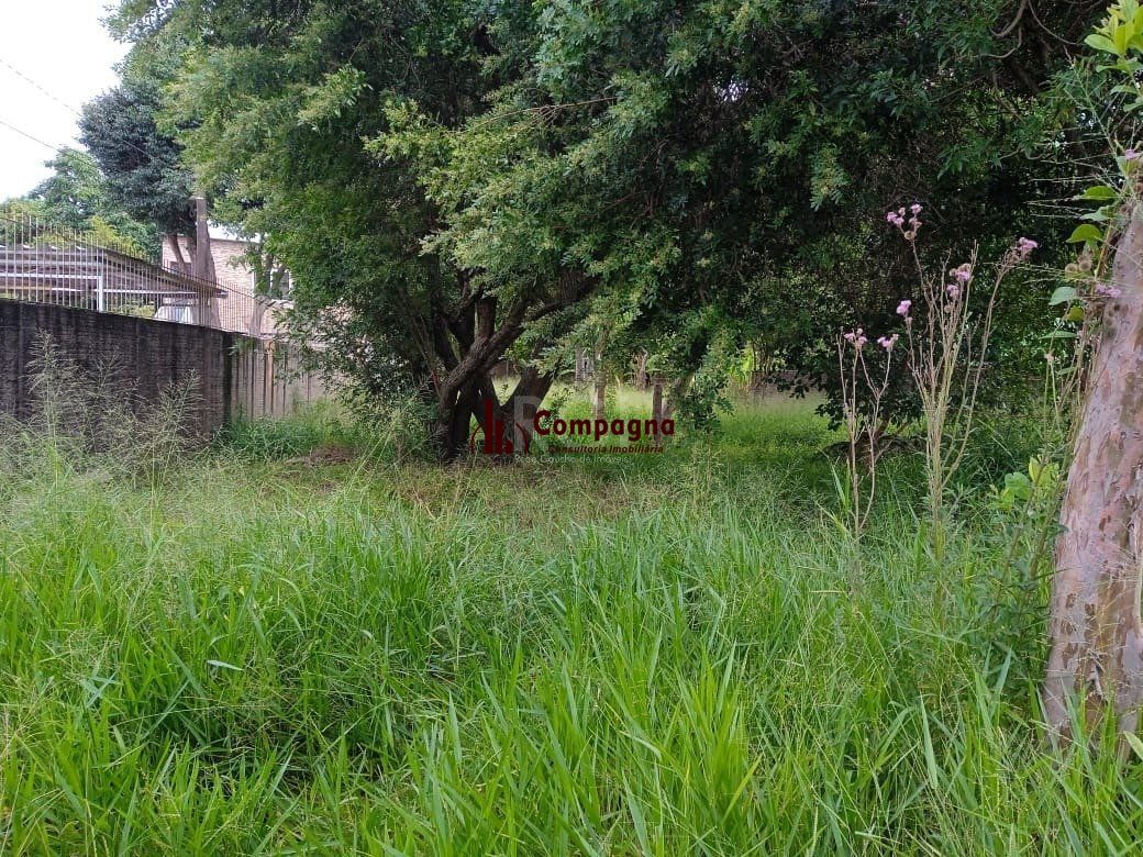 Terreno para Venda - 0m², 0 dormitórios, Tristeza