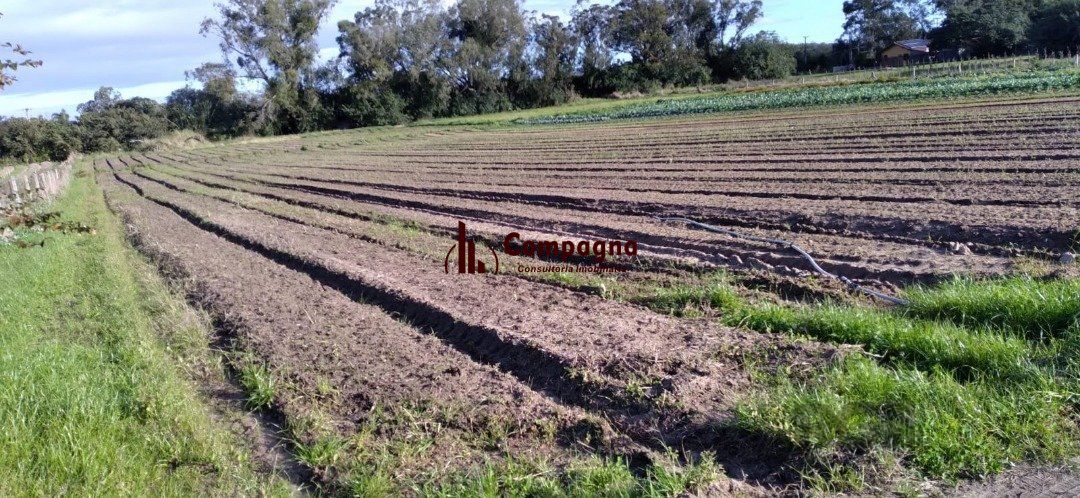 Terreno à venda, Lageado - Porto Alegre
