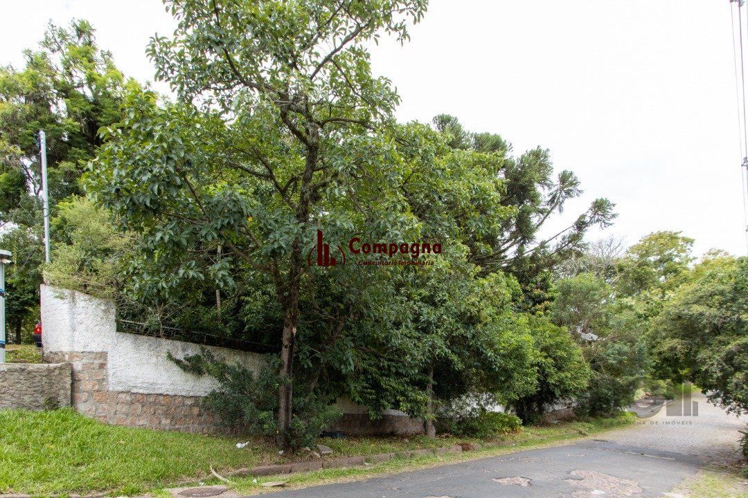 Terreno, 363.78 m², em Vila Conceição, em região elevada e livre de inundações
