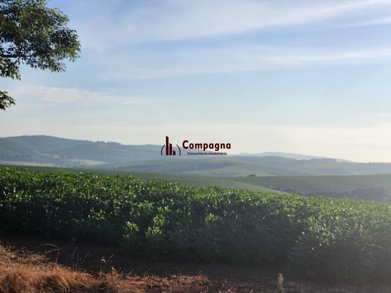 Fazenda apenas 50 quilômetros de PORTO ALEGRE — foto 3