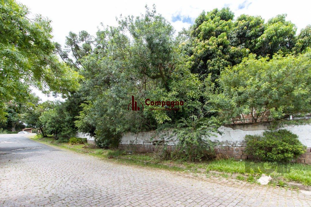 Terreno, 363.78 m², em Vila Conceição, em região elevada e livre de inundações — foto 3