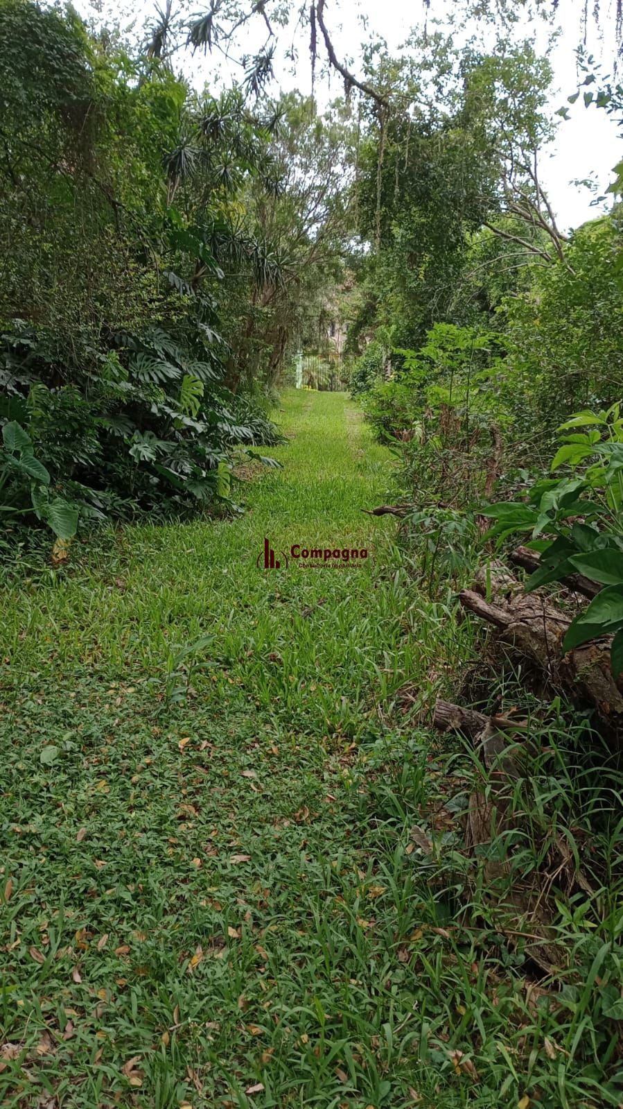 Excelente Terreno no Cristal — foto 2