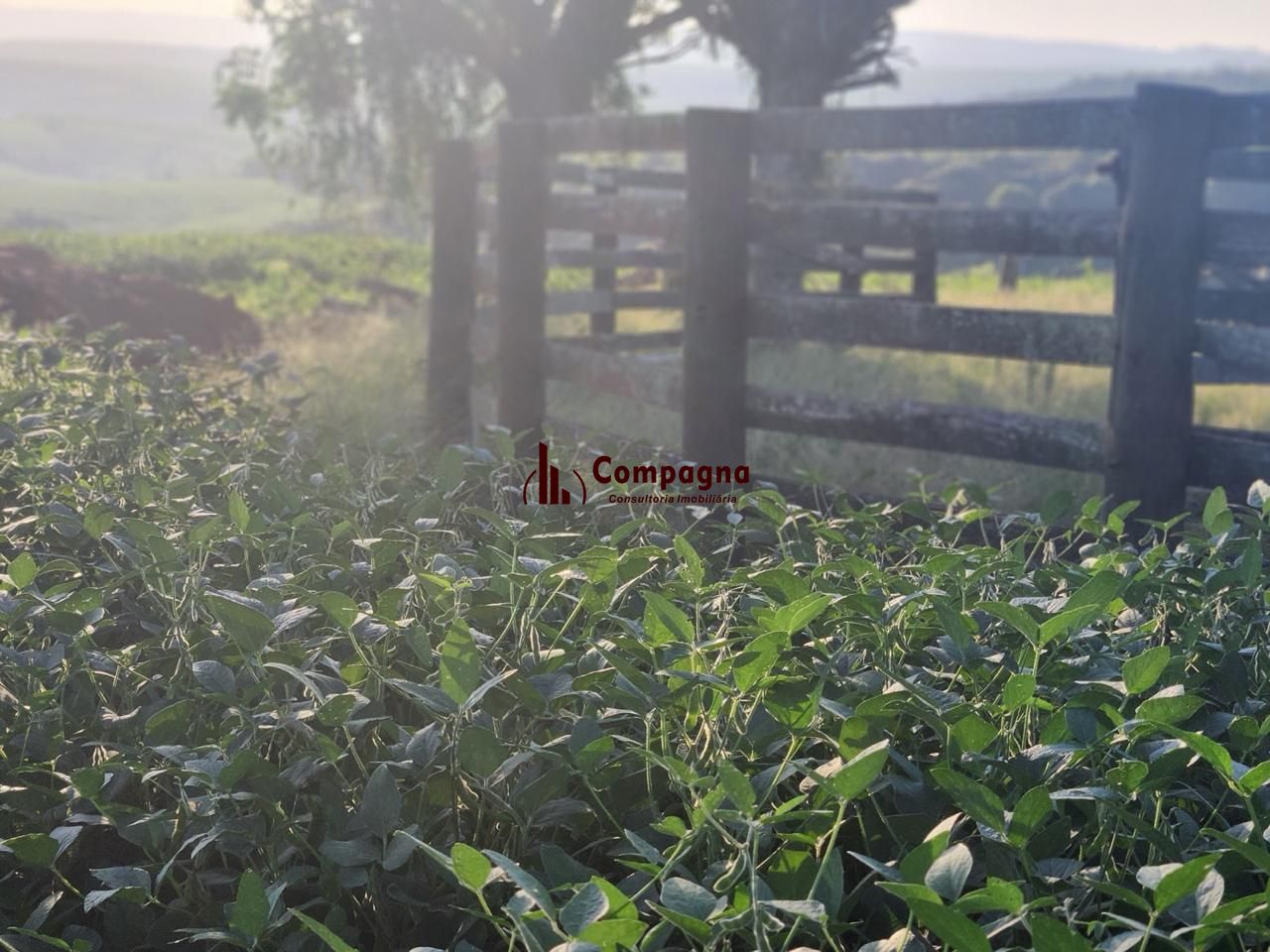 Fazenda apenas 50 quilômetros de PORTO ALEGRE — foto 4