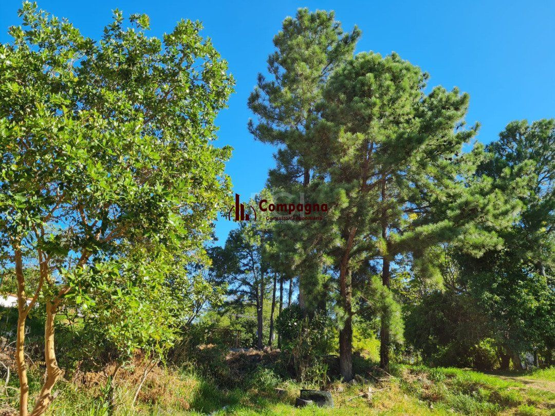 Terreno para Venda - 0m², 0 dormitórios, Vila Nova — foto 4