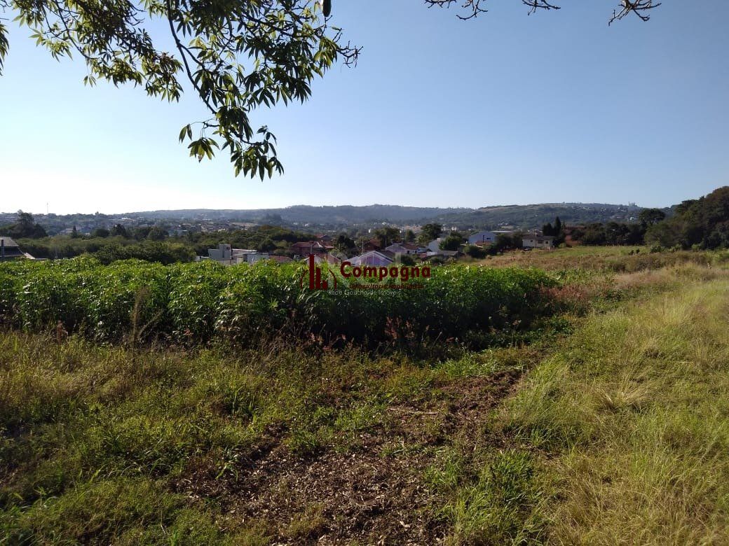 Area para Venda - 36.900m² - Campo Novo