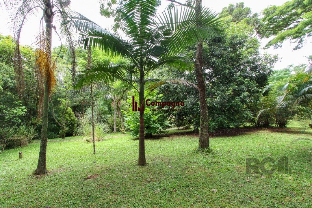 Casa com 3 quartos, suite em terreno com 7.320m² - Belem Velho — foto 4