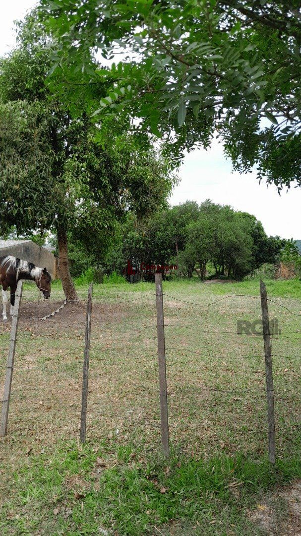 Terreno com 1.000m² , dimensões de 20x50, — foto 3