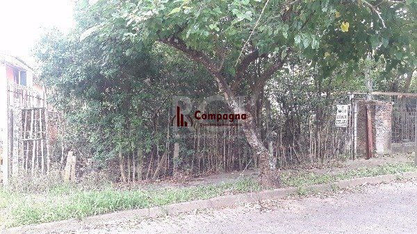 Terreno para Venda - 0m², 0 dormitórios, Vila Nova — foto 3