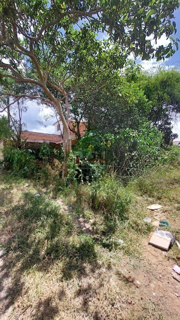 Terreno à venda, Vila Nova - Porto Alegre — foto 4