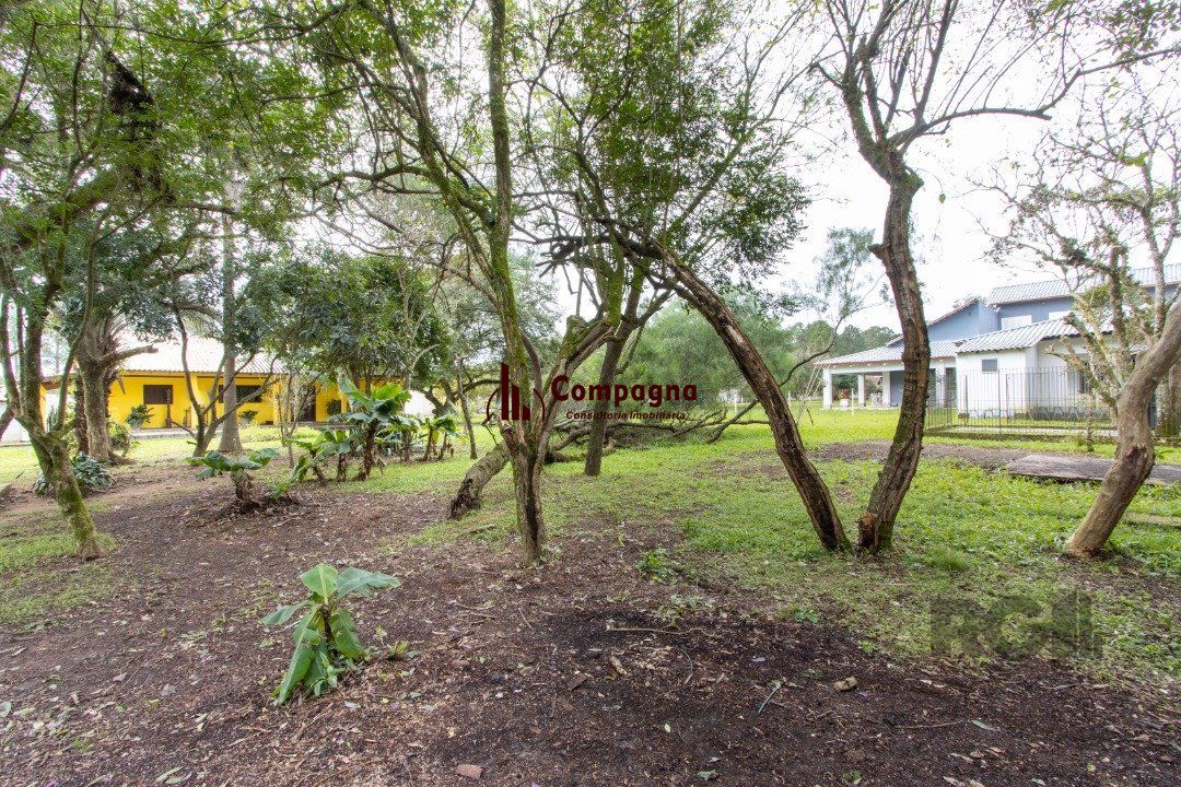 Sítio 3 quartos à venda, 350m², Lageado - Porto Alegre — foto 5