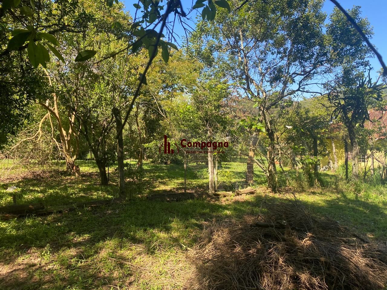 Excelente terreno! — foto 5