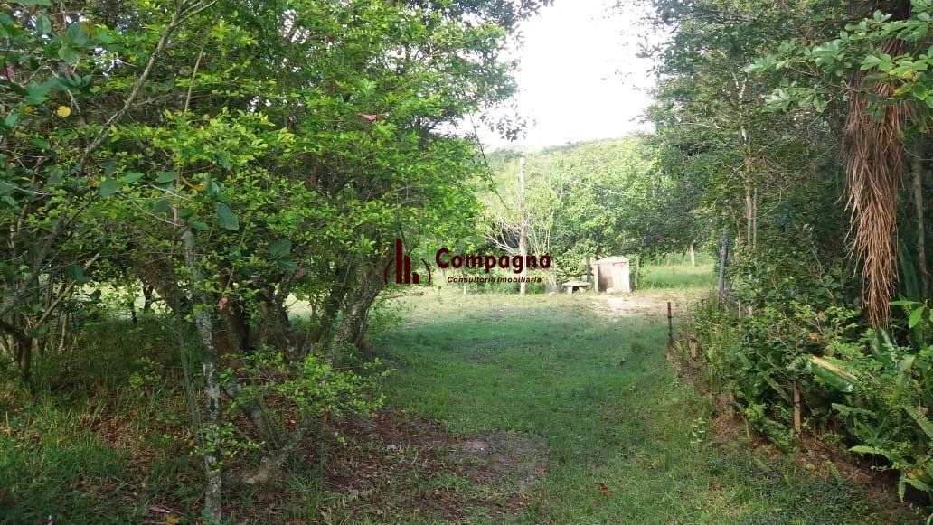 Terreno para Venda - 0m², 0 dormitórios, Boa Vista do Sul — foto 3