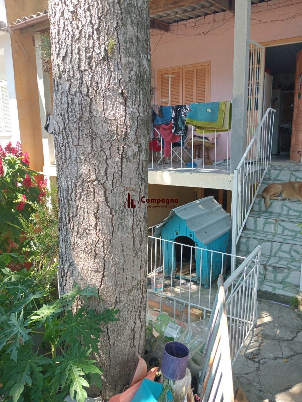 Casa 2 quartos à venda, 545m², Espírito Santo - Porto Alegre
