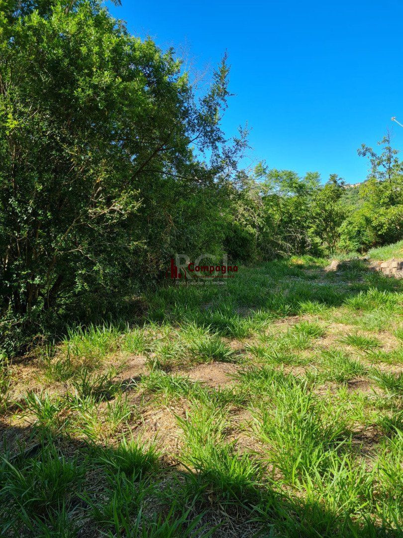 Terreno para Venda - 0m², 0 dormitórios, Vila Nova — foto 3