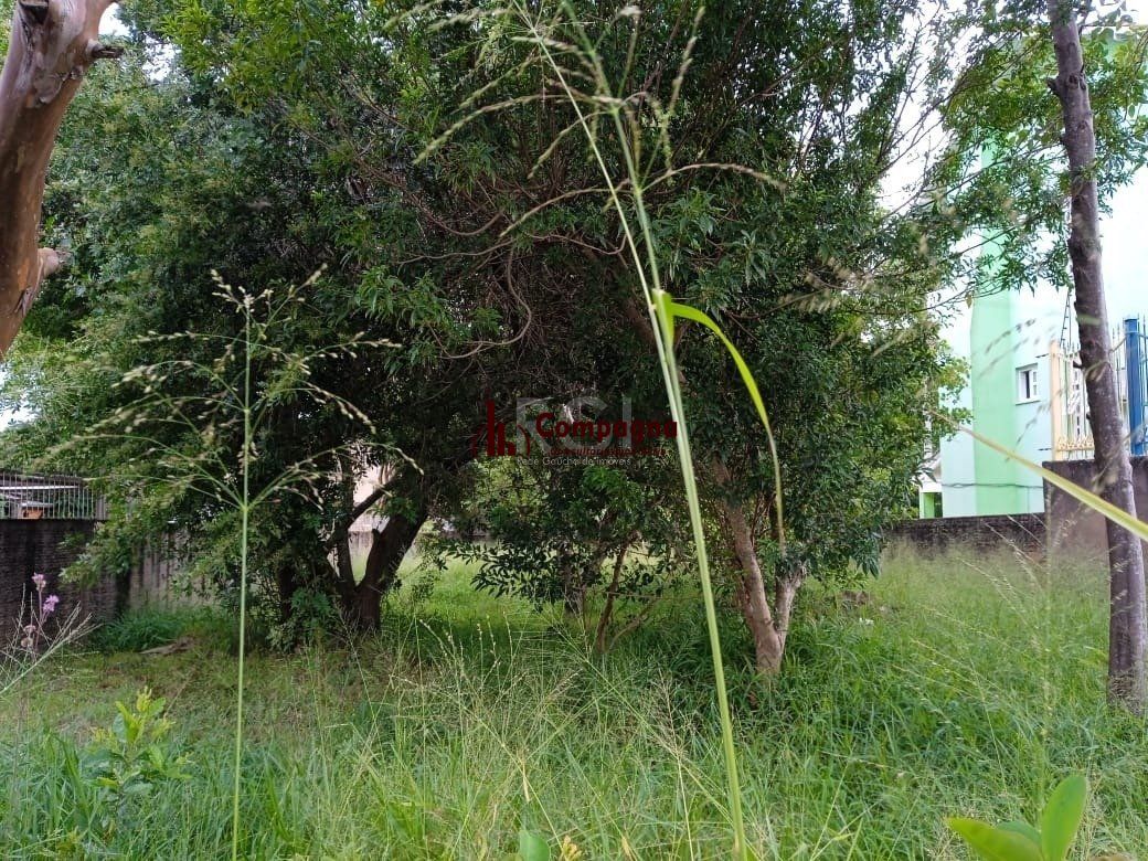 Terreno para Venda - 0m², 0 dormitórios, Tristeza — foto 3