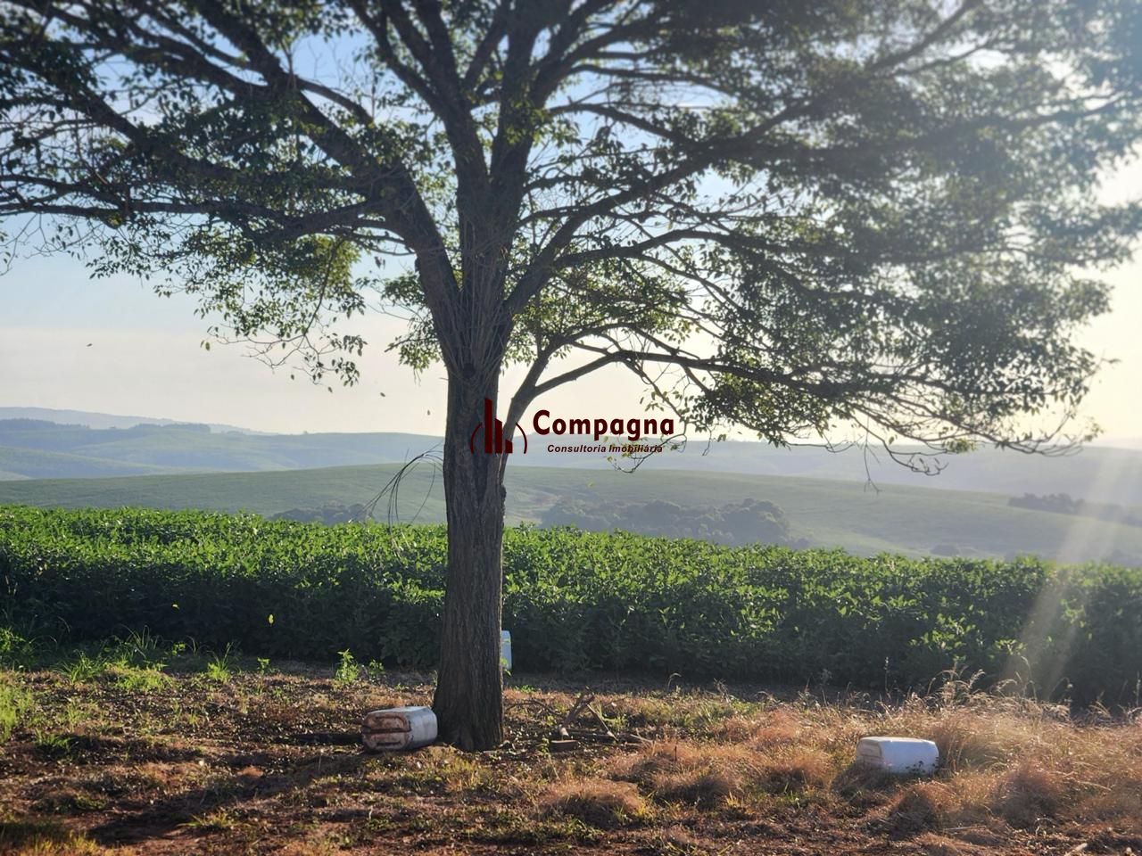Fazenda apenas 50 quilômetros de PORTO ALEGRE