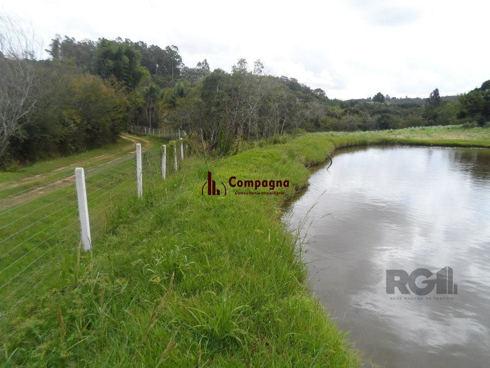 Sítio 3 quartos à venda, 100m², Canta Galo - Viamão