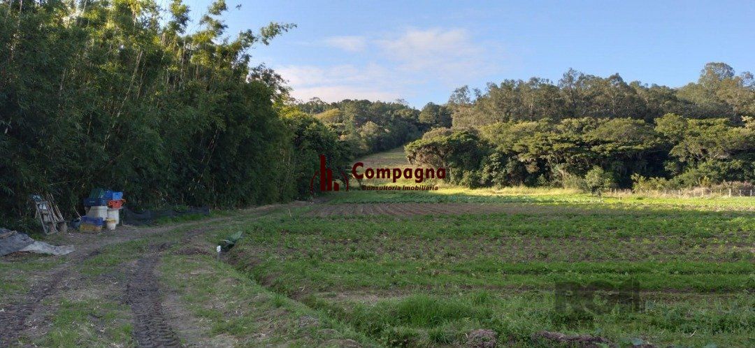 Terreno à venda, Lageado - Porto Alegre — foto 3