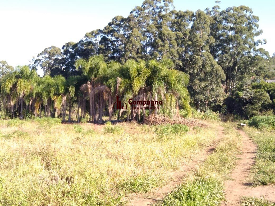 Area para Venda - 36.900m² - Campo Novo — foto 3
