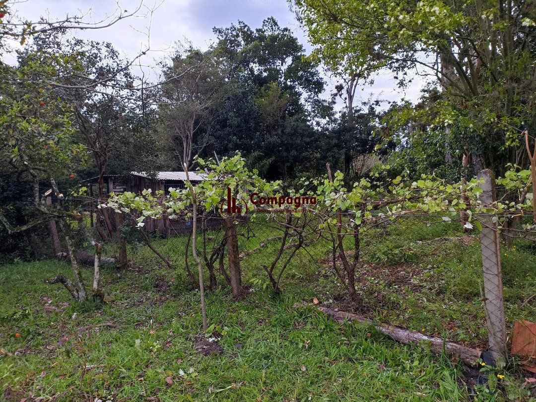 Sítio para Venda - 3330m², 3 dormitórios, sendo 1 suites, Itapuã — foto 3