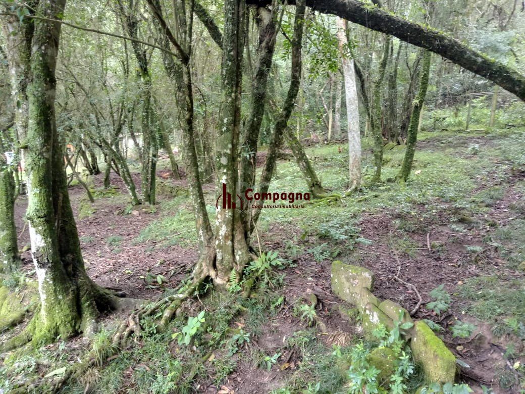 Sítio para Venda - 13725m², 2 dormitórios, sendo 2 suites, 4 vagas - Ponta Grossa — foto 3