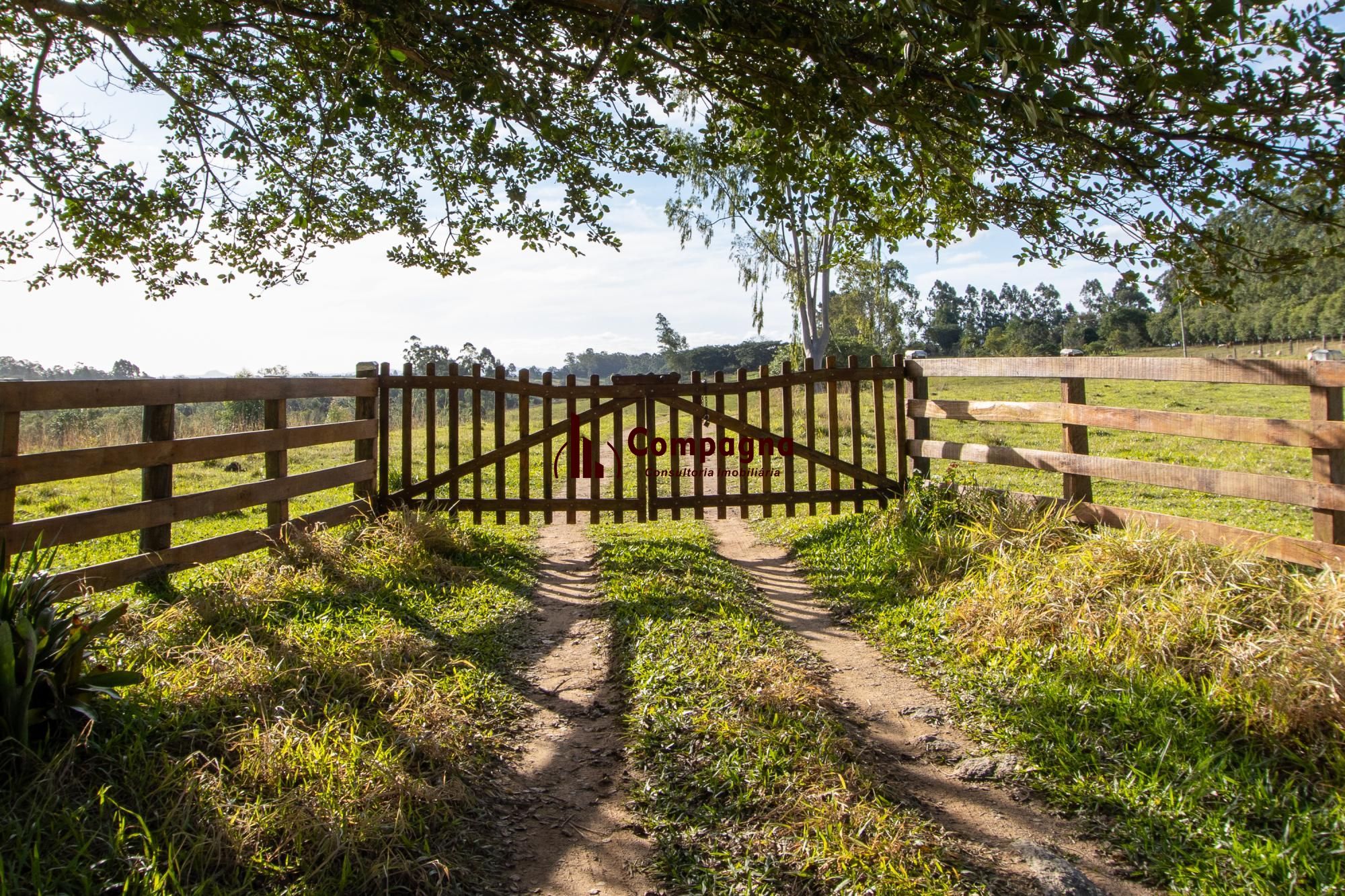 Sítio 3 quartos à venda, 180m², Estância Grande - Viamão