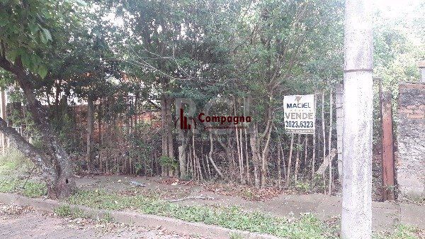 Terreno para Venda - 0m², 0 dormitórios, Vila Nova — foto 2