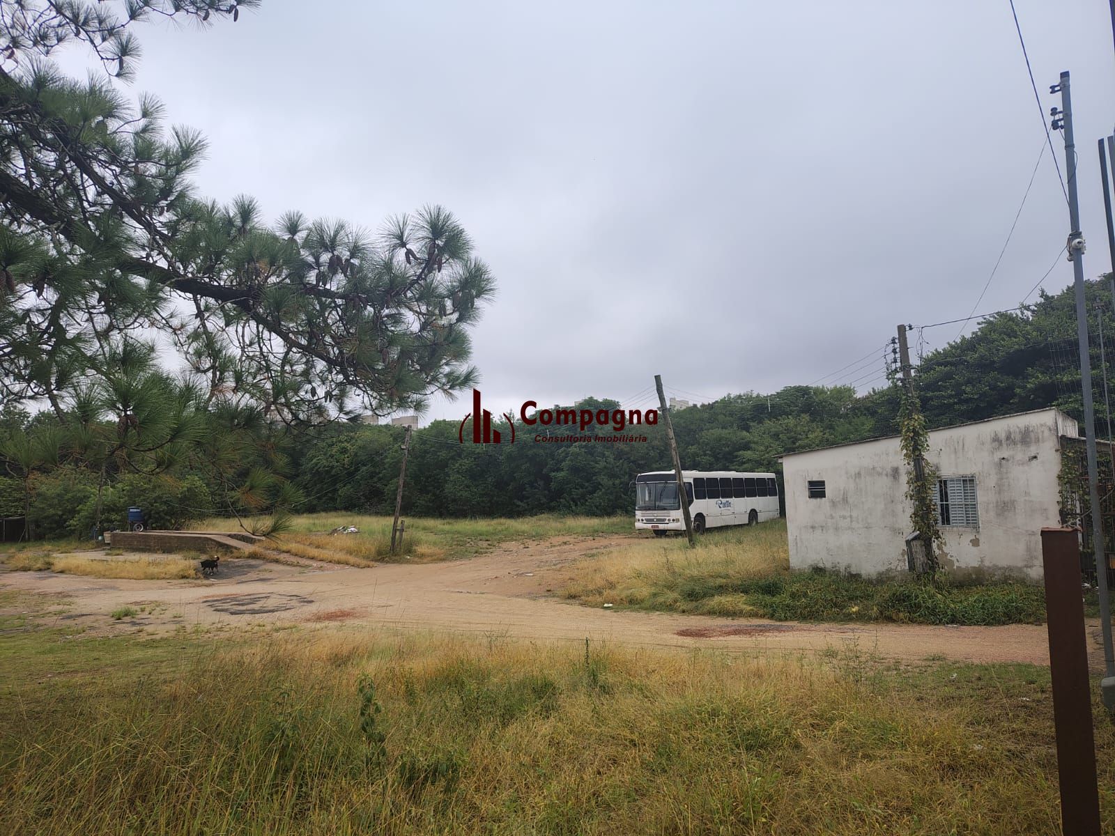 Excelente terreno no bairro Camaquã. — foto 2
