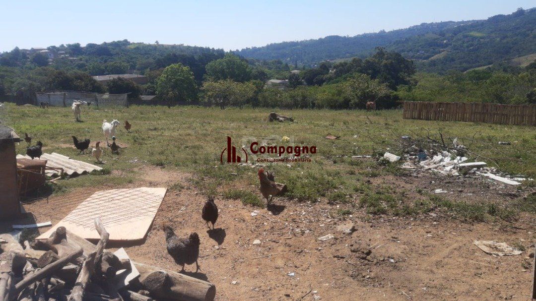 Sítio para Venda - 2658m², 0 dormitórios, Vila Nova — foto 3