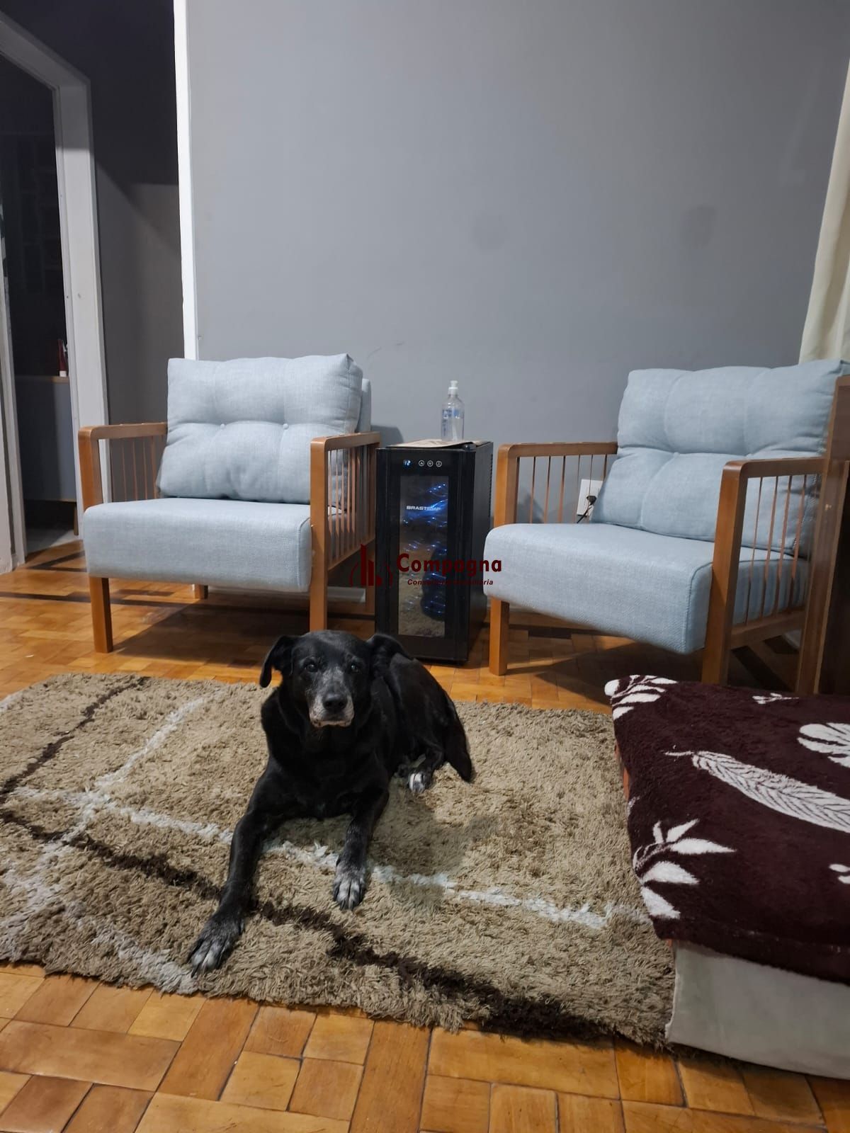 #Apartamento 2 quartos, térreo na República - Cidade Baixa# — foto 5