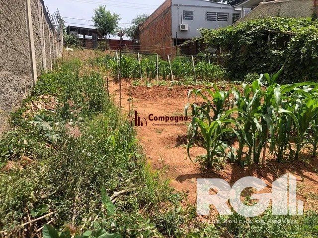 Terreno à venda, Jardim Floresta - Porto Alegre — foto 4