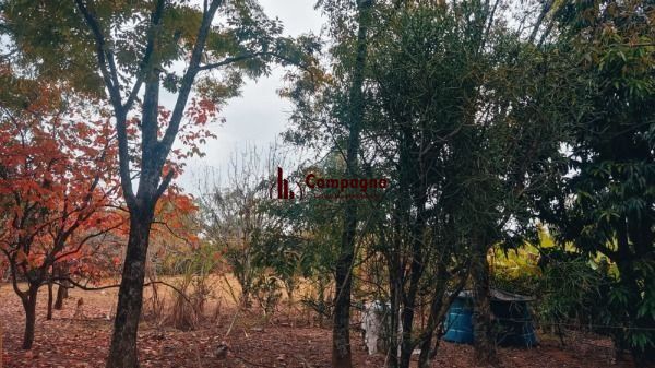 Area em Porto Alegre, no bairro Restinga, à venda. — foto 5