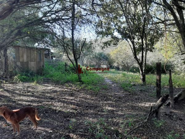 Sítio para Venda - 200m², 3 dormitórios, 4 vagas - Lami — foto 4