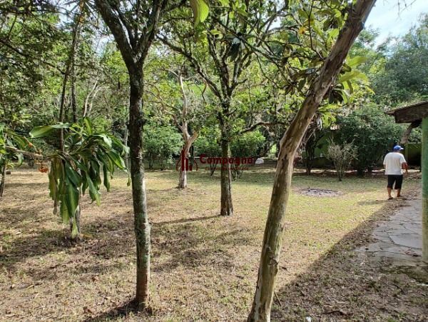 Sítio em Porto Alegre, no bairro São Caetano, à venda.
