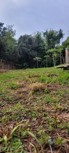 Terreno em Porto Alegre, no bairro Ipanema, à venda. — foto 3